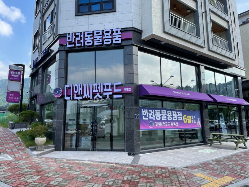 사진 2