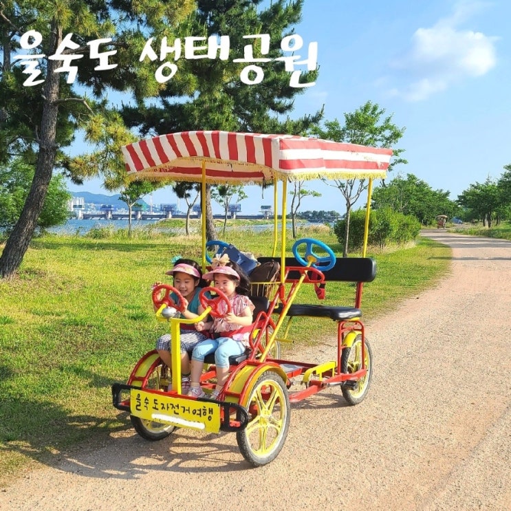  부산 을숙도 생태공원 자전거 대여 (무료/유료) 가족나들이