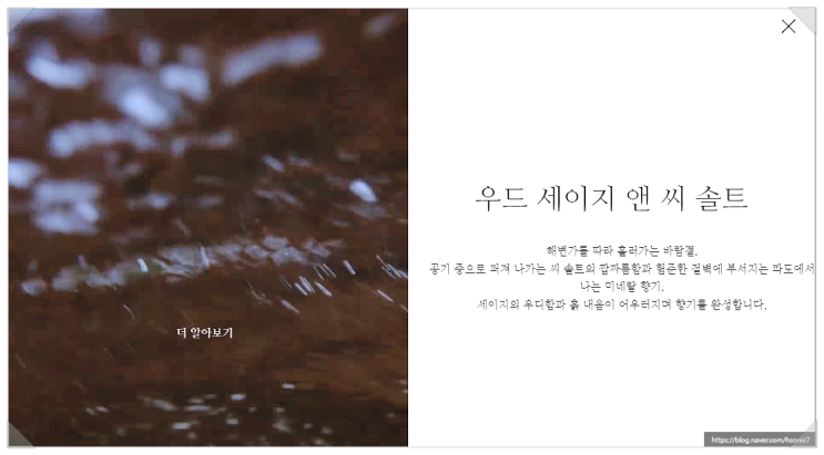  내가 쓰는 향수(조말론 우드세이지 씨솔트 코롱 소개)