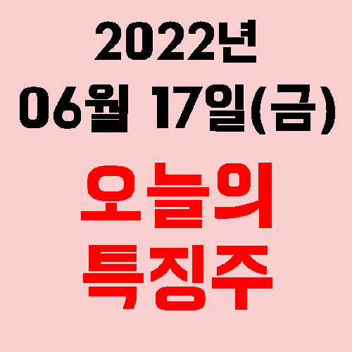  오늘의 시장 특징주 2022년 06월 17일(금)