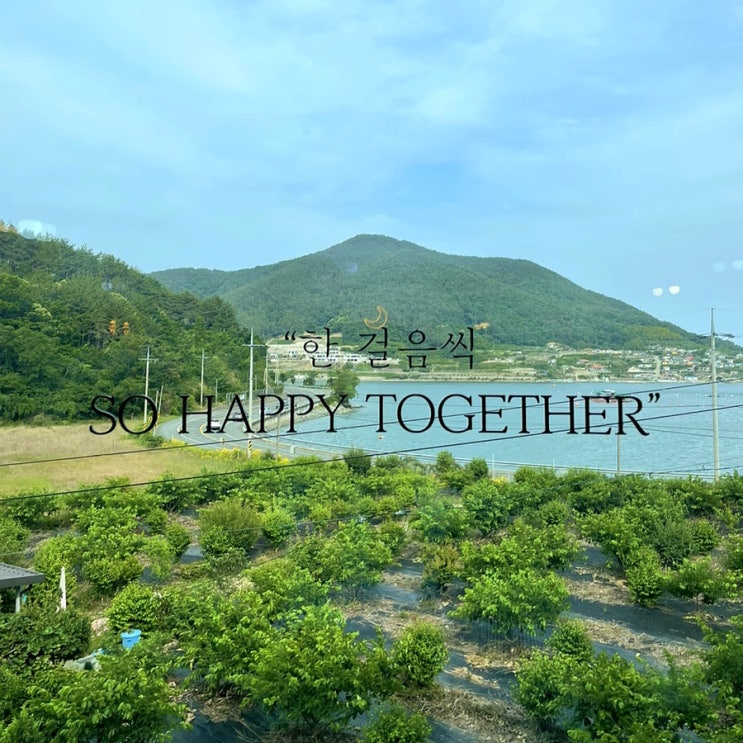  6월 2주차 주간 일기 (하동 여행, 꼬부기)