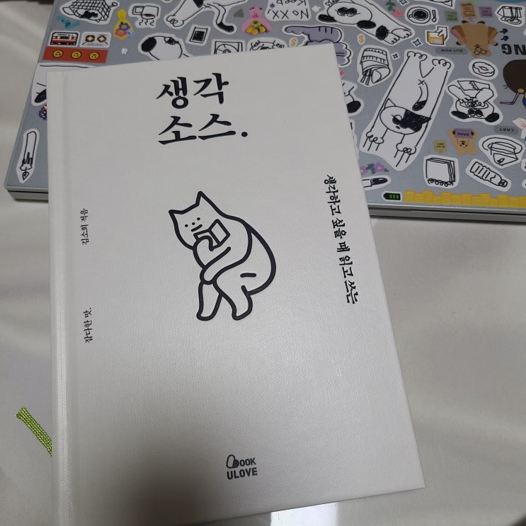 [생각소스]리뷰/ 매일 새로운 생각을 하고 싶은 당신에게 추천하는 책