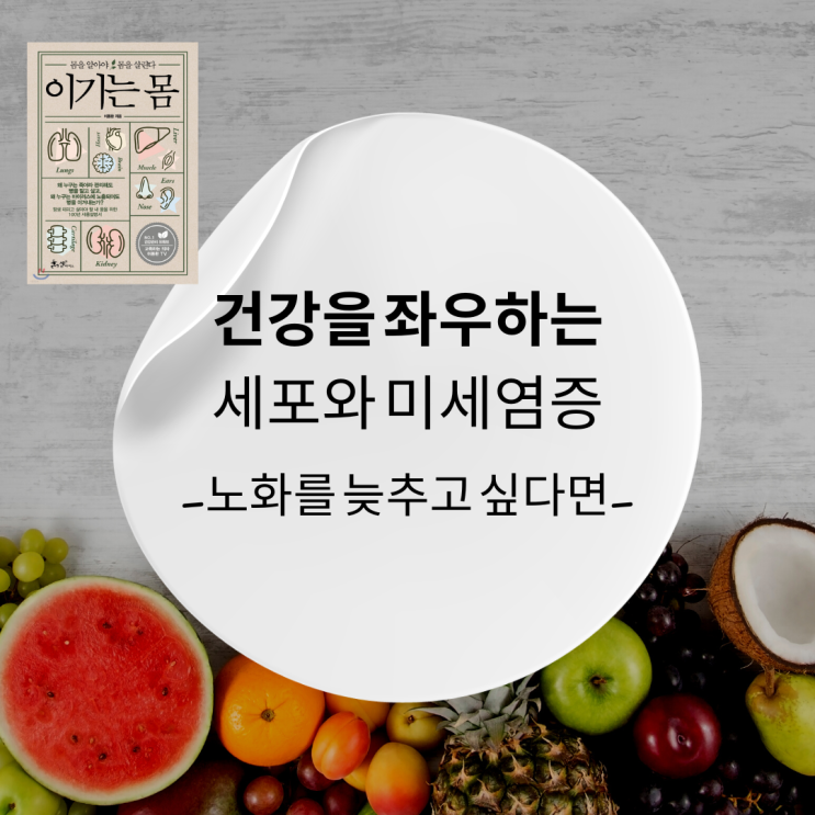  노화를 늦추는 방법 : 미토콘드리아를 지키고 미세염증 예방하기(feat. 이기는 몸)