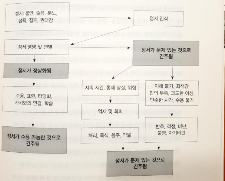  마음은 부정적 감정들을 어떻게 처리하는 걸까? (정서6) [시청역, 남대문, 서소문 정신과]