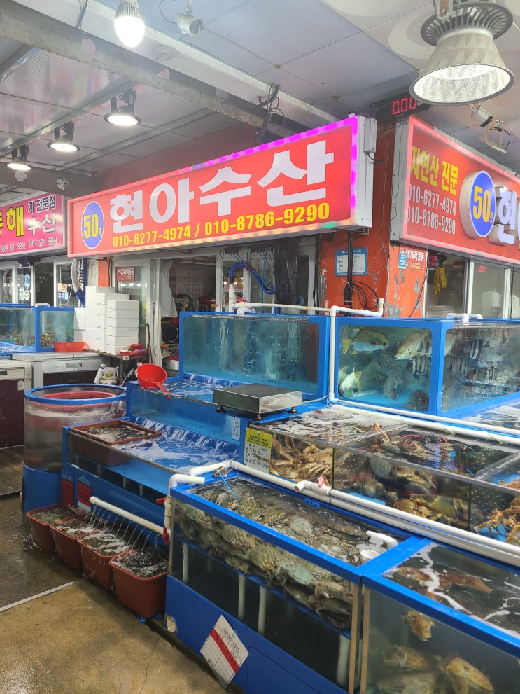  [대천여행] 4.대천항 수산시장 50호 현아 수산_ 광어회, 갑오징어회, 대하찜 포장하기