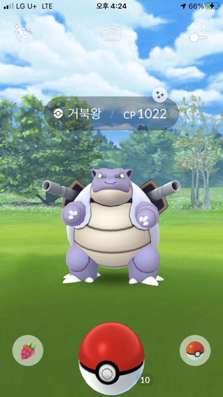  거북왕 이로치