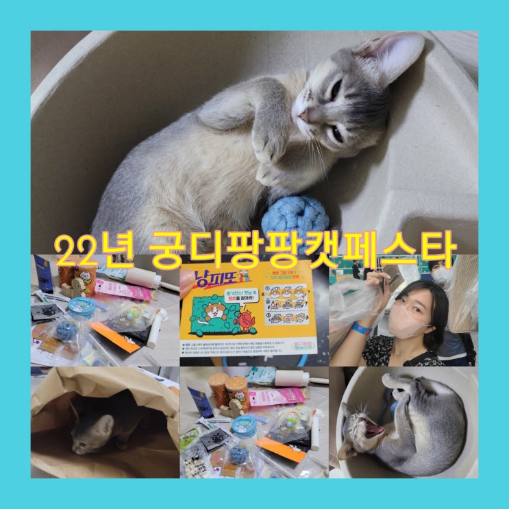  궁디팡팡캣페스타 첫 방문 주차꿀팁 with.양재at