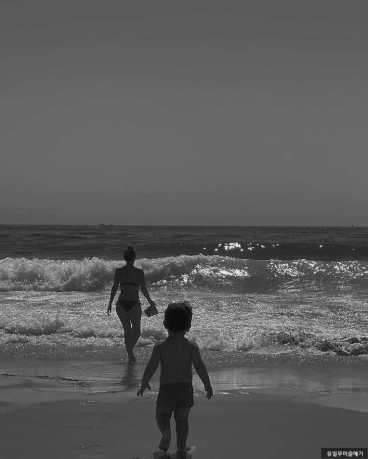  요즘의 근황