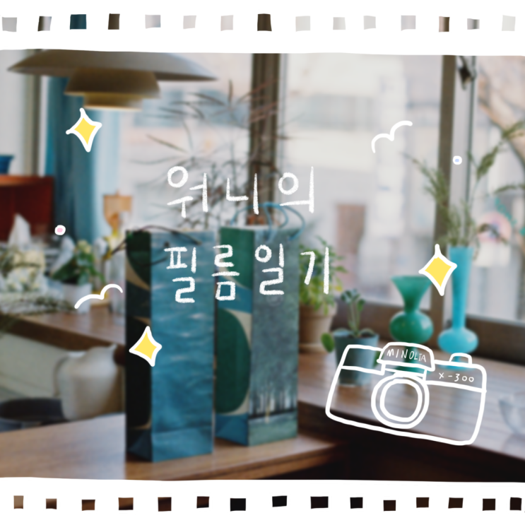  Minolta x-300 :: 필름으로 담은 강릉 (feat. 오어즈, 오브더모먼트, 오프더월, 알로하케이크, mnr커피바)