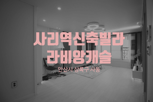  수인분당선 사리역 도보 10분 안산 상록구 사동 3룸 신축빌라 라비앙캐슬