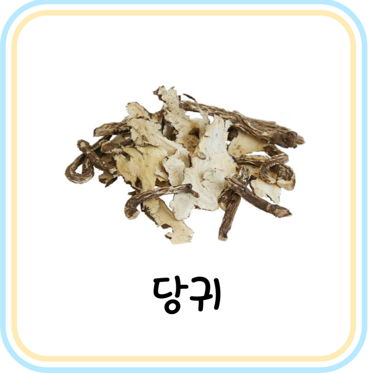  당귀 효능 및 부작용 (feat. 데커신 성분)