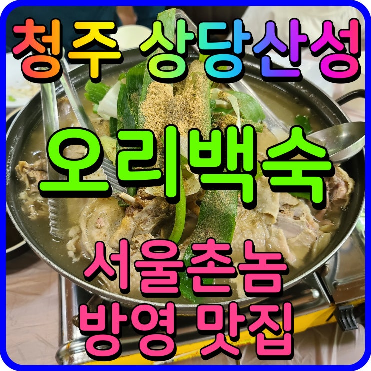 청주 상당산성 맛집 장수장 오리백숙 서울촌놈 나온집