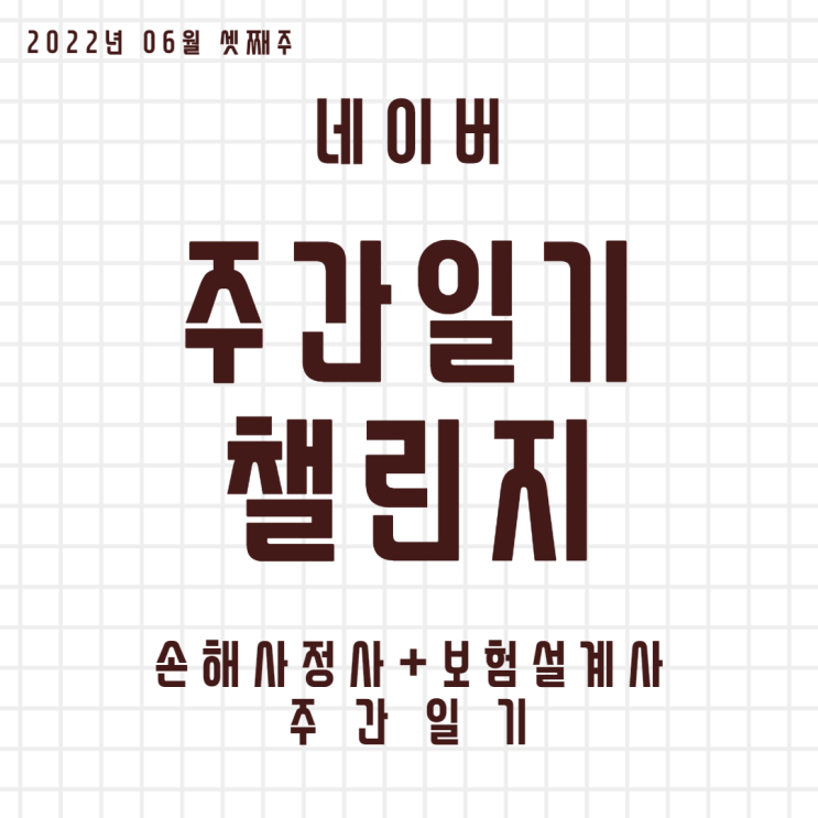  정신없이 흘러간 이번 주를 돌아보며. (인스 위클리 다이어리 두 번째 일기)
