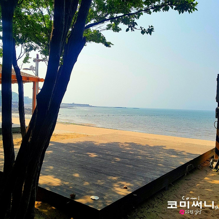 인천 영흥도 당일치기 여행 십리포해수욕장 십리포 해변길 (십리포 해변 야영장 배치도) 오션 뷰 캠핑 최적지! 인천 영흥도 당일치기 여행 십리포해수욕장 십리포 해변길 (십리포 해변 야영장 배치도) 오션 뷰 캠핑 최적지!