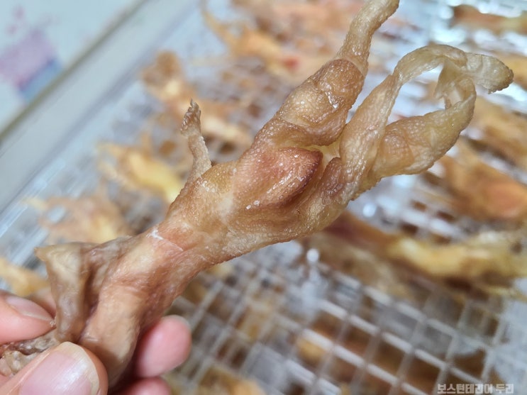  건조기로 무뼈닭발 강아지 껌 만들기