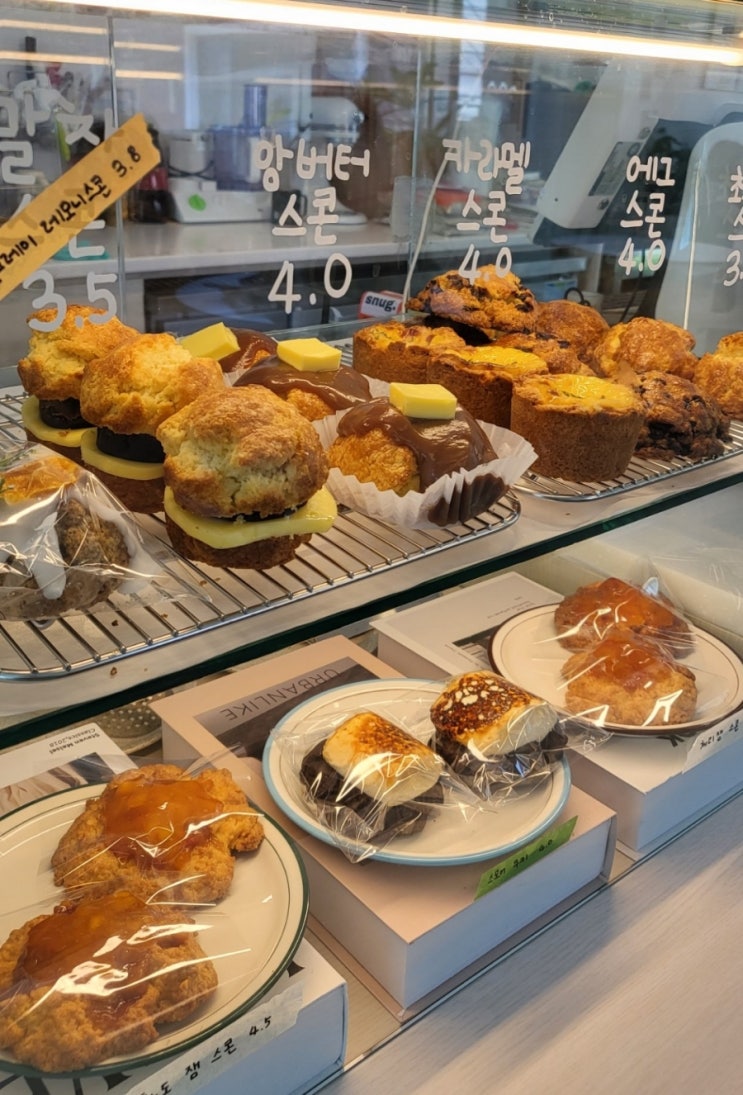  포항 효자 카페/디저트 맛집  (카페 스너그 cafe snug)