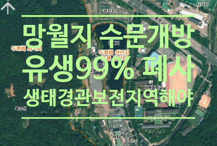  두꺼비 산란지 망월지 수문 개방으로 유생99%폐사...수성구 생태경관보전지역 지정해야