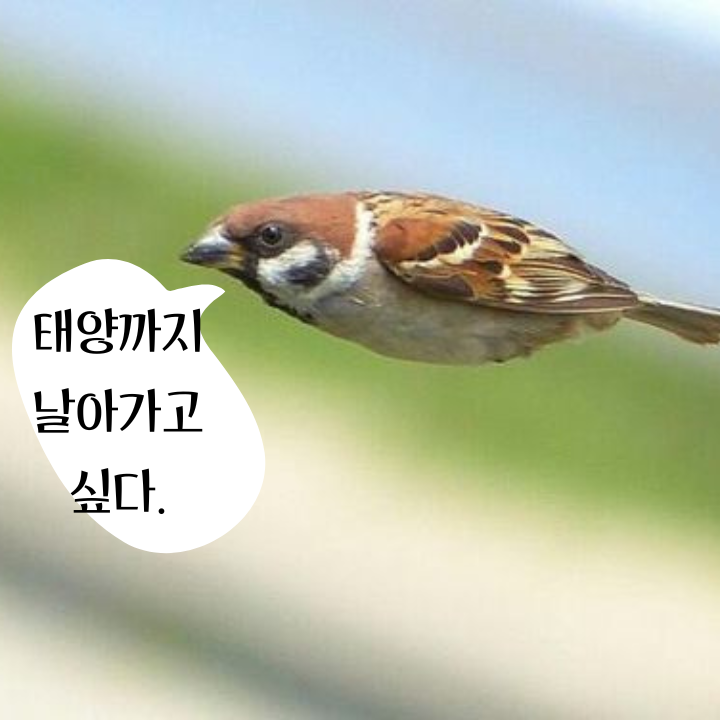  [교훈 글귀] 명언 2개
