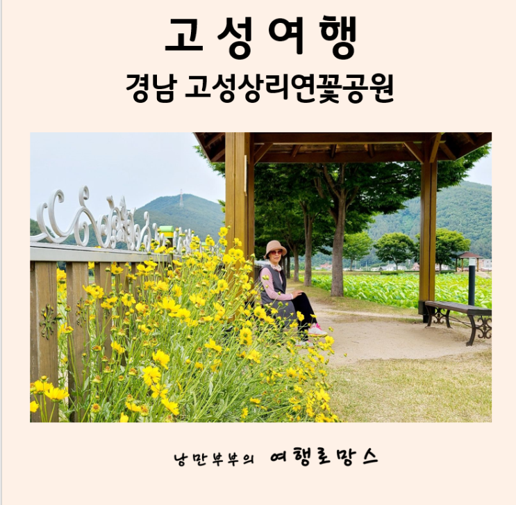 경남고성 가볼만한곳:: 고성 상리연꽃공원,고성연꽃