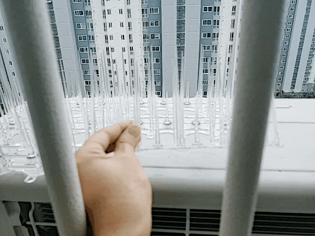 아파트 베란다 실외기 비둘기퇴치법 2중스파이크 망으로 해결! 아파트 베란다 실외기 비둘기퇴치법 2중스파이크 망으로 해결!