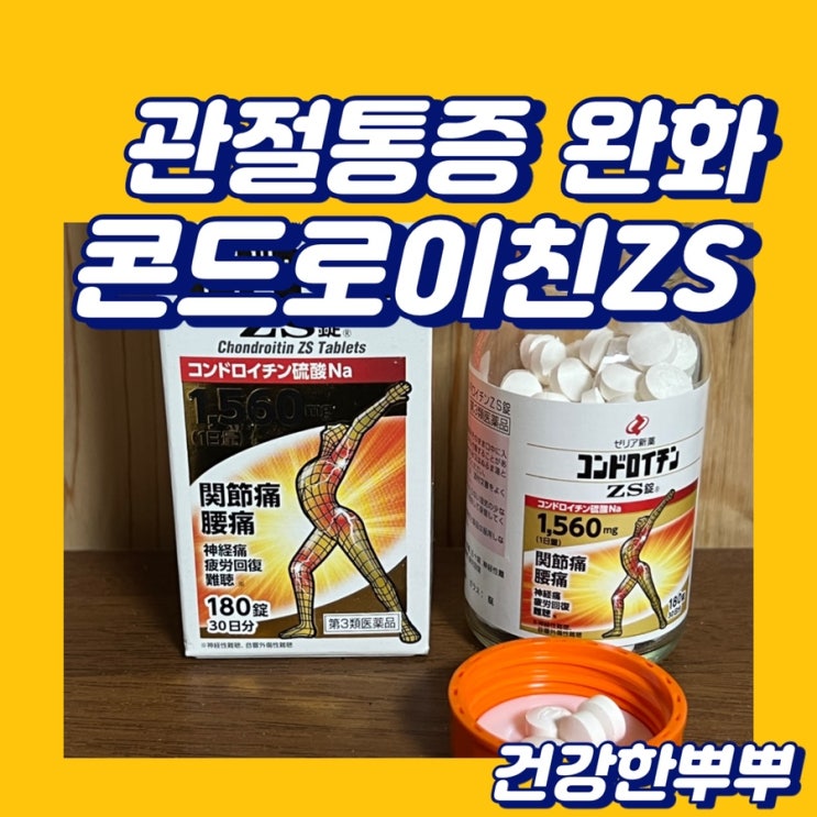  관절통증완화 콘드로이친ZS 무릎관절약 추천