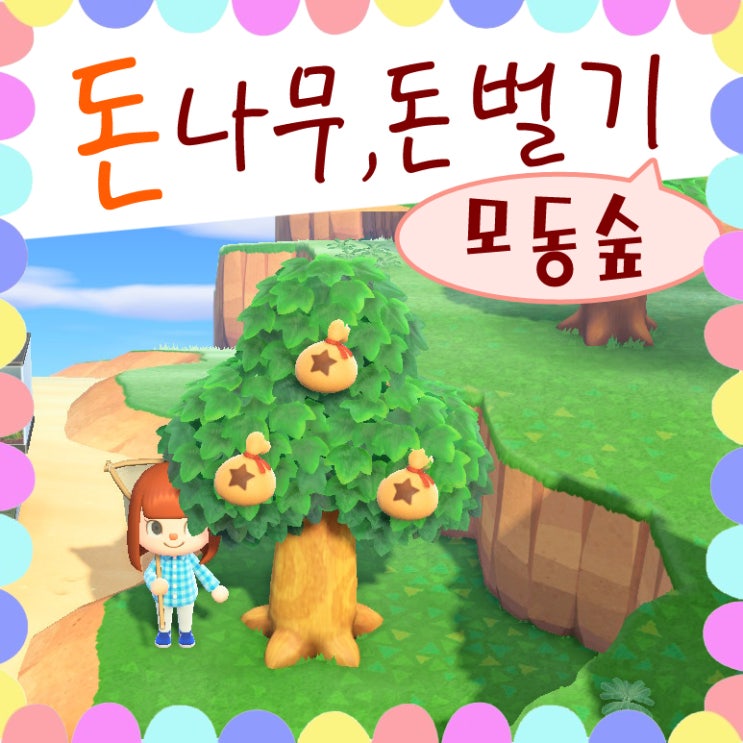  닌텐도 스위치 게임 모여봐요 동물의숲 동숲 삽 돈나무 모동숲 돈벌기 공략