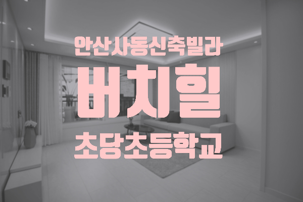  안산시 상록구 사동 초당초등학교 인접 3룸 신축빌라 버치힐