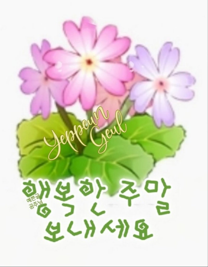 행복한주말 : 네이버 블로그