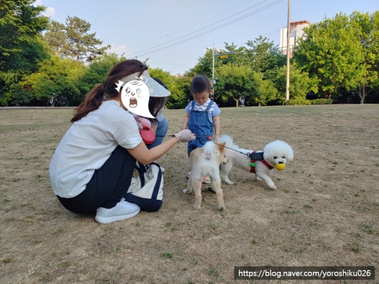  전라도 광주 가볼만한 곳 걷기 좋은 산책로까지 518기념공원