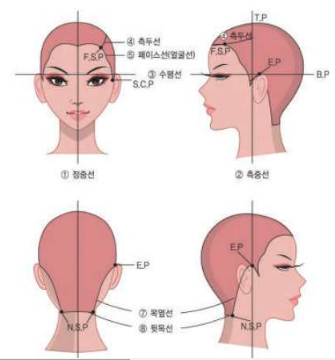 미용이론 / 미용총론 / 필기시험 요점정리 / 미용 CBT 기출문제 풀어보기 : 네이버 블로그