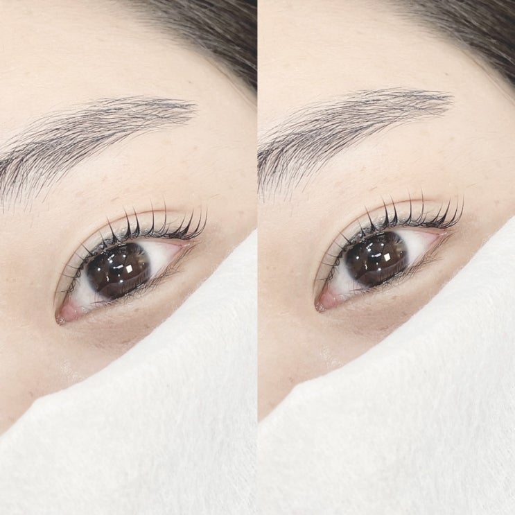  [창동속눈썹펌 dium] 창동역 속눈썹펌 디움뷰티 후기