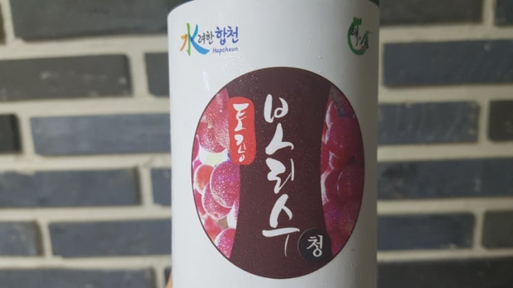  기관지에좋은음식: 가야산 토종보리수마을 보리수청 보리수열매