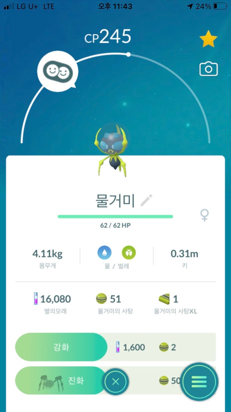  물거미, 깨비물거미