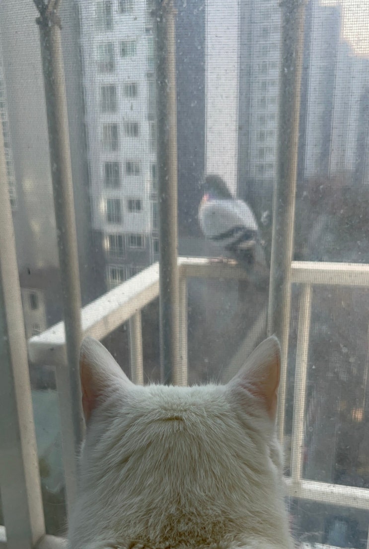  2번째 성장