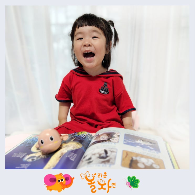  두돌아기 첫 자연관찰 전집, 그레이트북스 놀라운자연