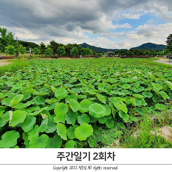 주간일기 2회차 : 부랴부랴 쓰기