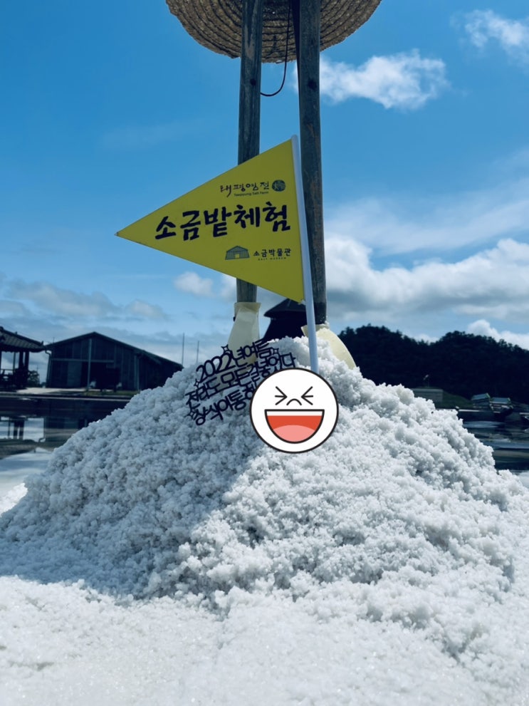  심플 자유문구 케이크토퍼 주문제작 생일 생신 기념일 여행 토퍼제품