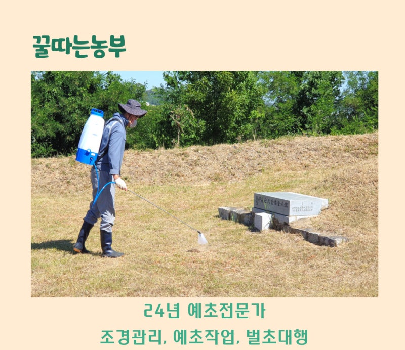 잔디밭 잡초관리에 잔디전용 제초제 종류 알아봐요