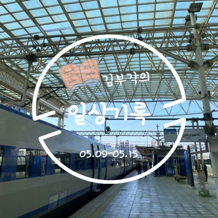  5월 둘째 주에 일상 기록