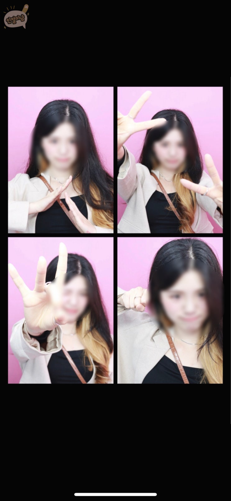  6월 2주 차 블로그 챌린지, 절미는 어떻게 살았을까요?