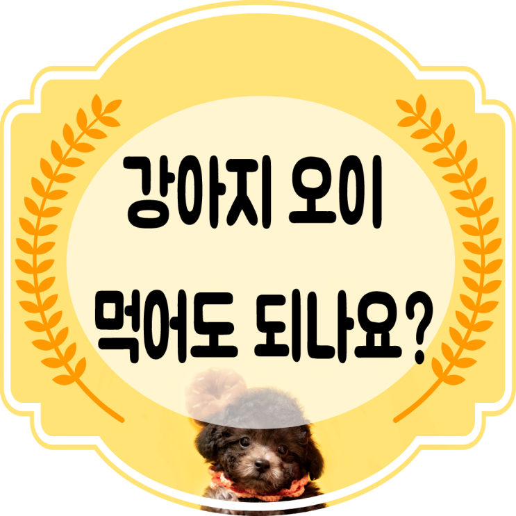  강아지음식 강아지오이 먹어도 되나요?