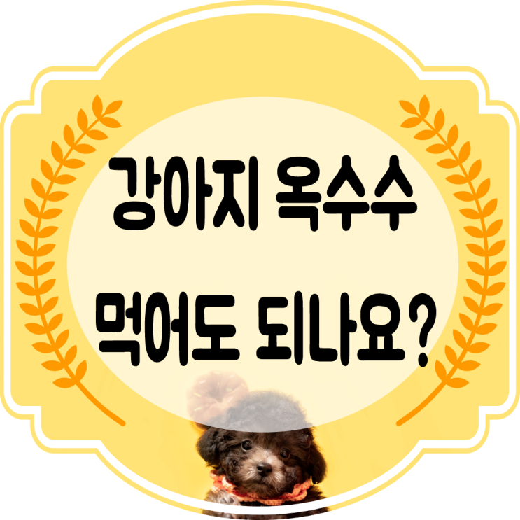  강아지 초당옥수수 / 수염차 먹어도 될까?? (급여 주의점)