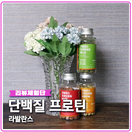 라발란스 프로틴 간편하게 단백질 보충 라발란스 프로틴 간편하게 단백질 보충