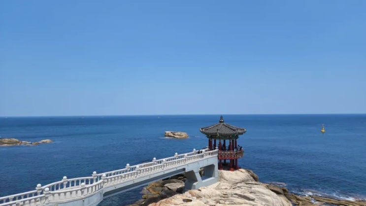  6월 둘째주 주간일기