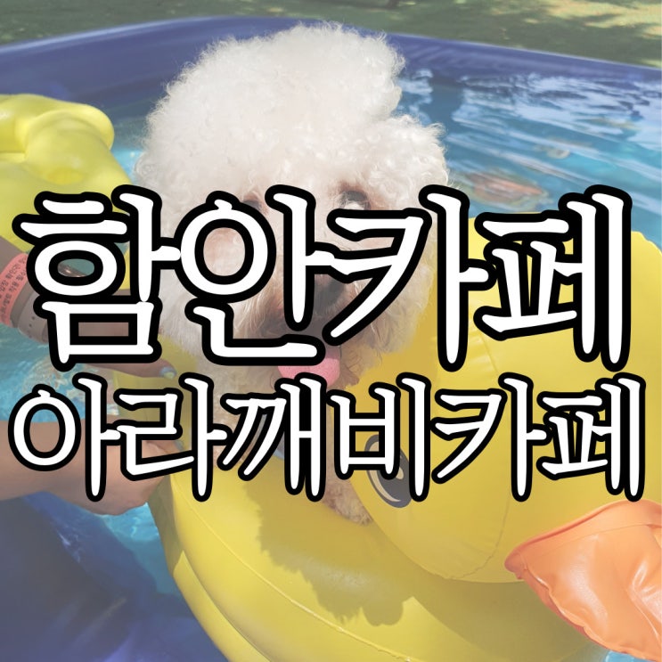 함안카페 애견 동반 가능한 아라깨비까페