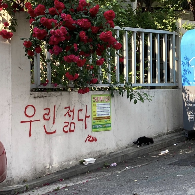  [6월 2주차] 시간은 내 마음같은 건 아랑곳 않고 자기 할 일을 했고 우리도 그저 우리 할 일을 할 따름이었다.