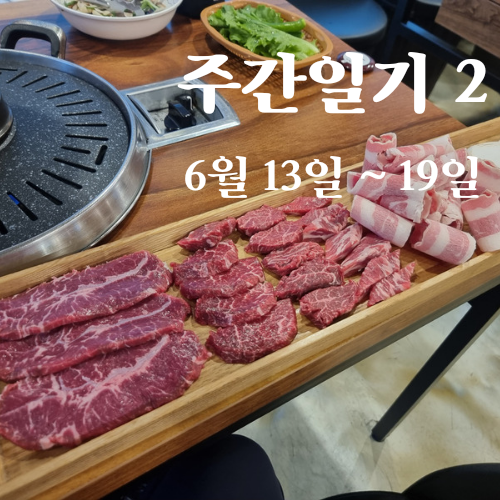  주간일기2 :: 6월 (2)