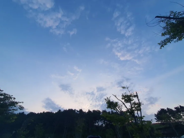  금요일의 여유..