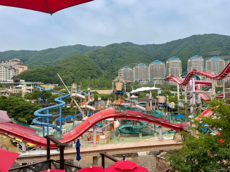  강원도/홍천 :: 여름 여행 시작! 비발디파크 오션월드 하이시즌 후기(가격, 주차장, 셔틀버스, 준비물, 먹거리)