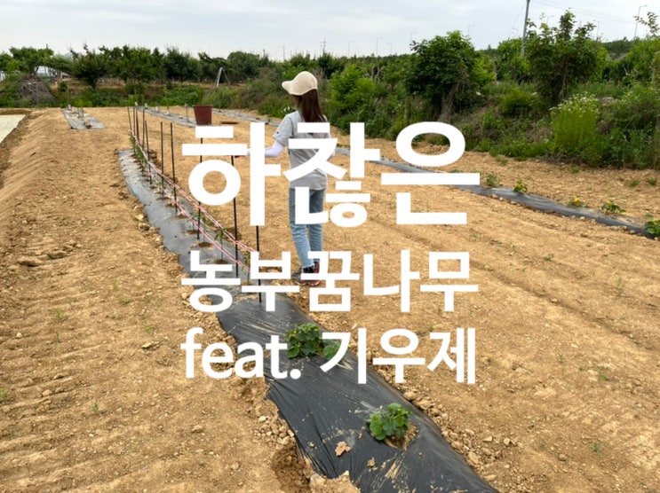 농부의 인생 #1(feat. 기우제)